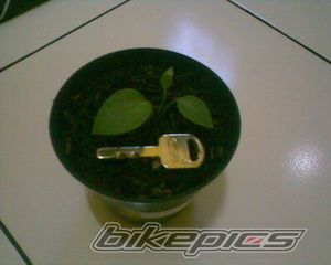 Bike Photo 1255591