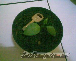 Bike Photo 1255593