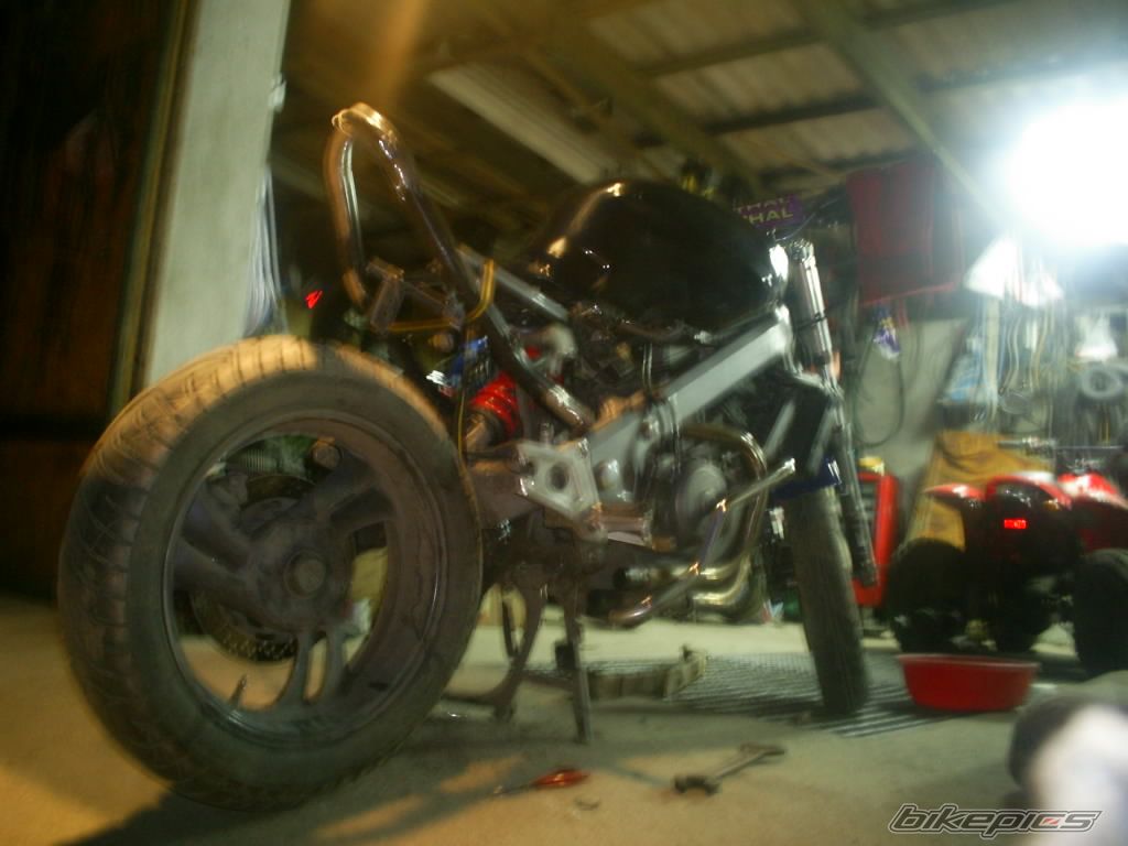 Photo 1255605