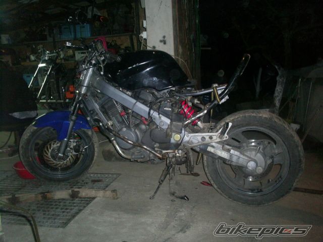 Photo 1255608