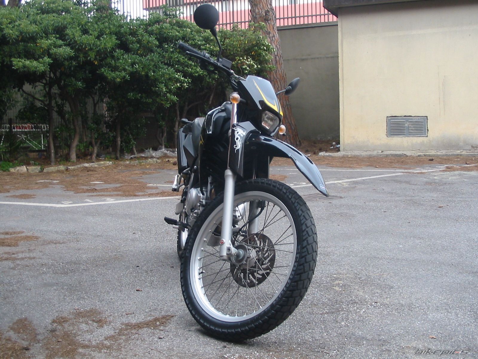 Photo 1255658