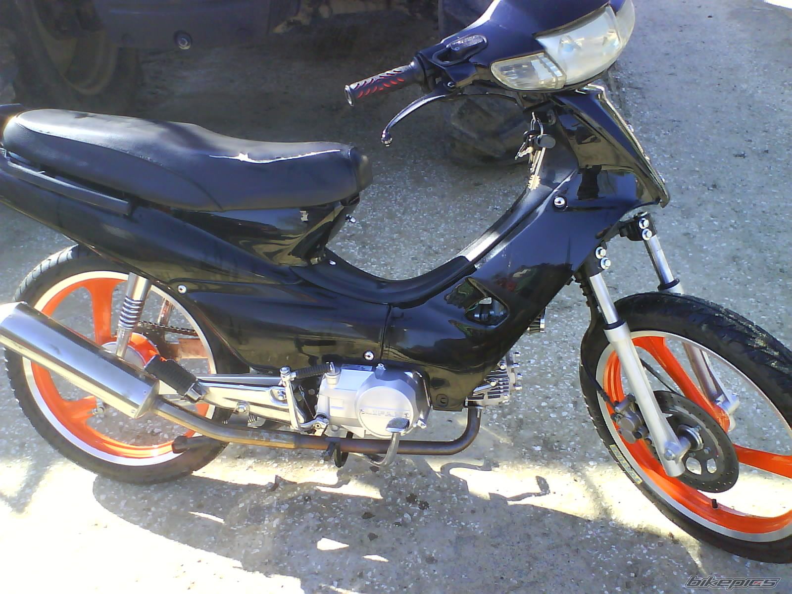 Photo 1255694