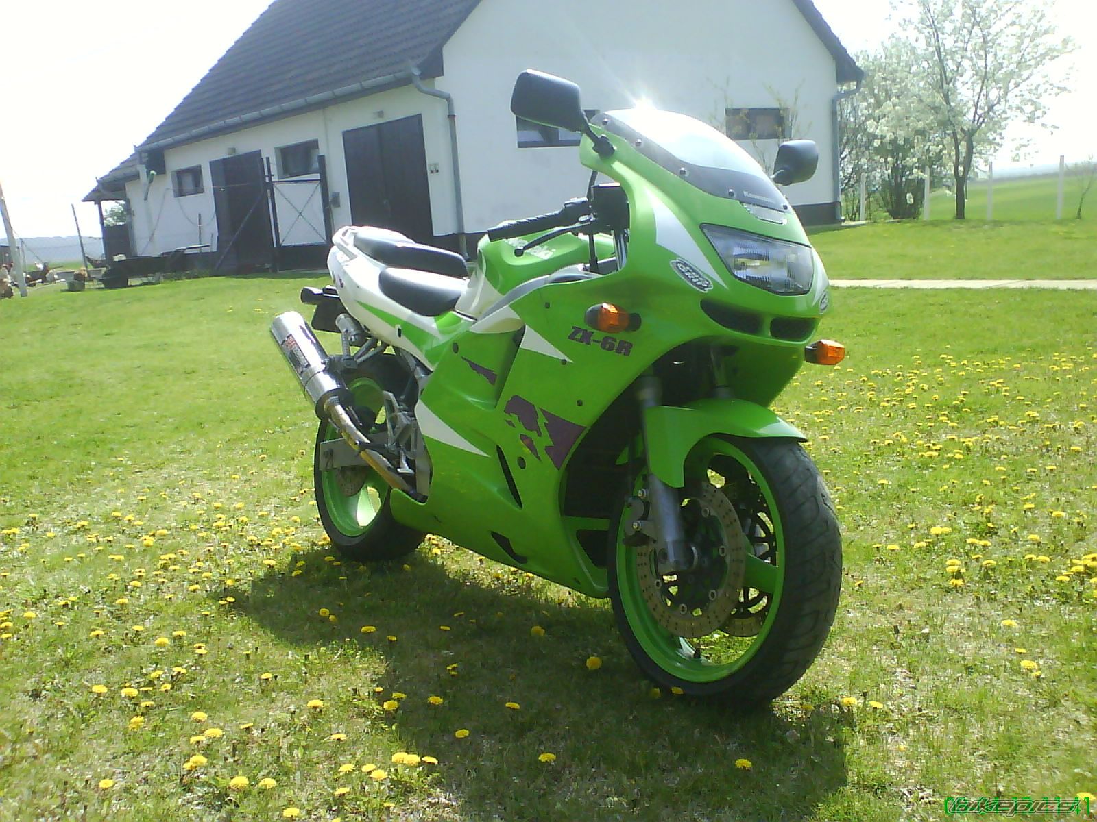 Photo 1255699