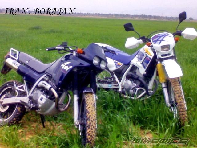Photo 1255776