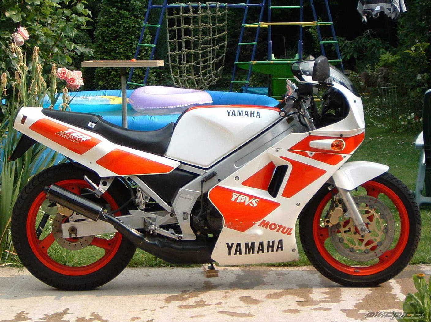 Bike Photo 1255788