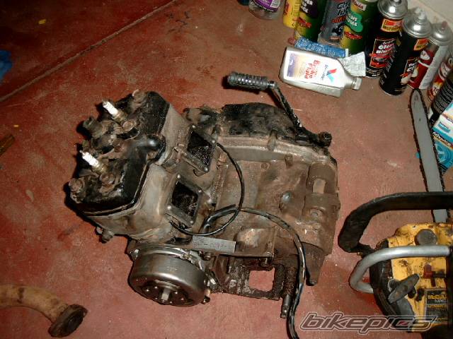Photo 125601