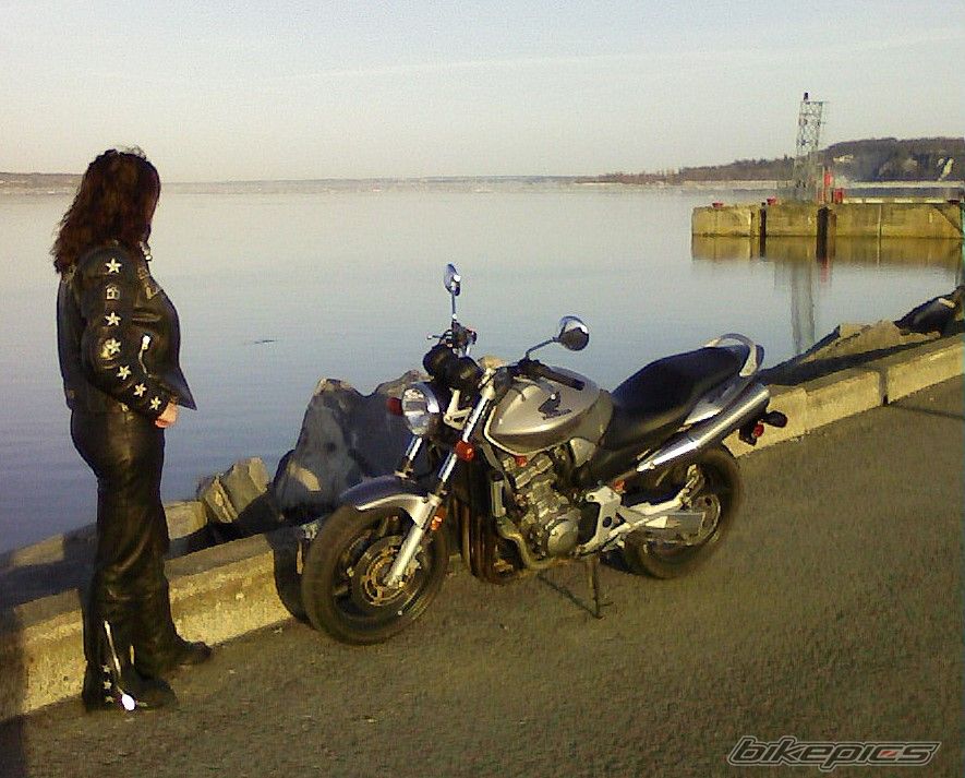 Photo 1256062
