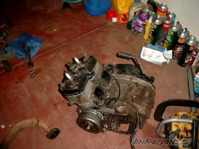 Photo 125608