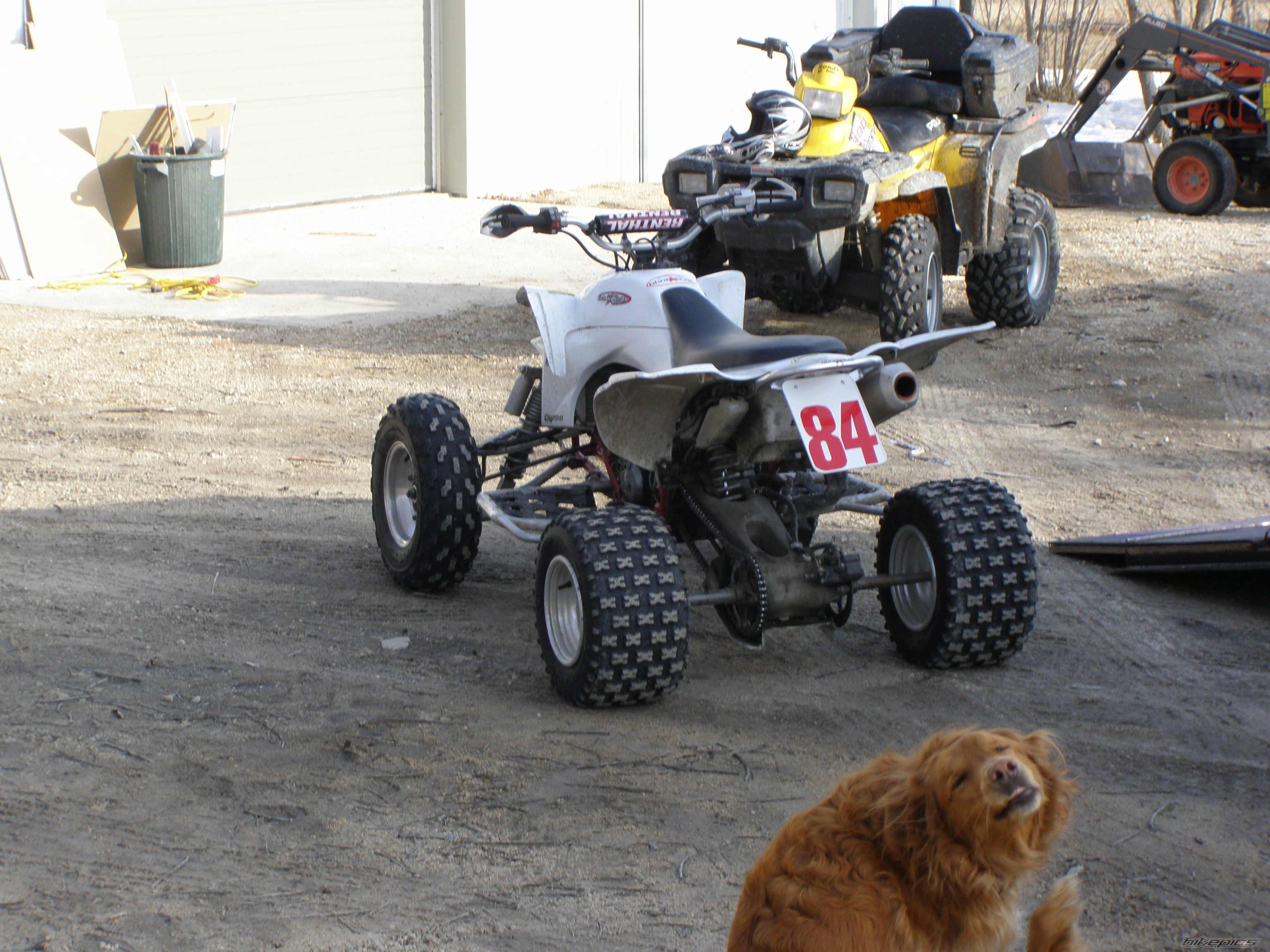 Photo 1256083