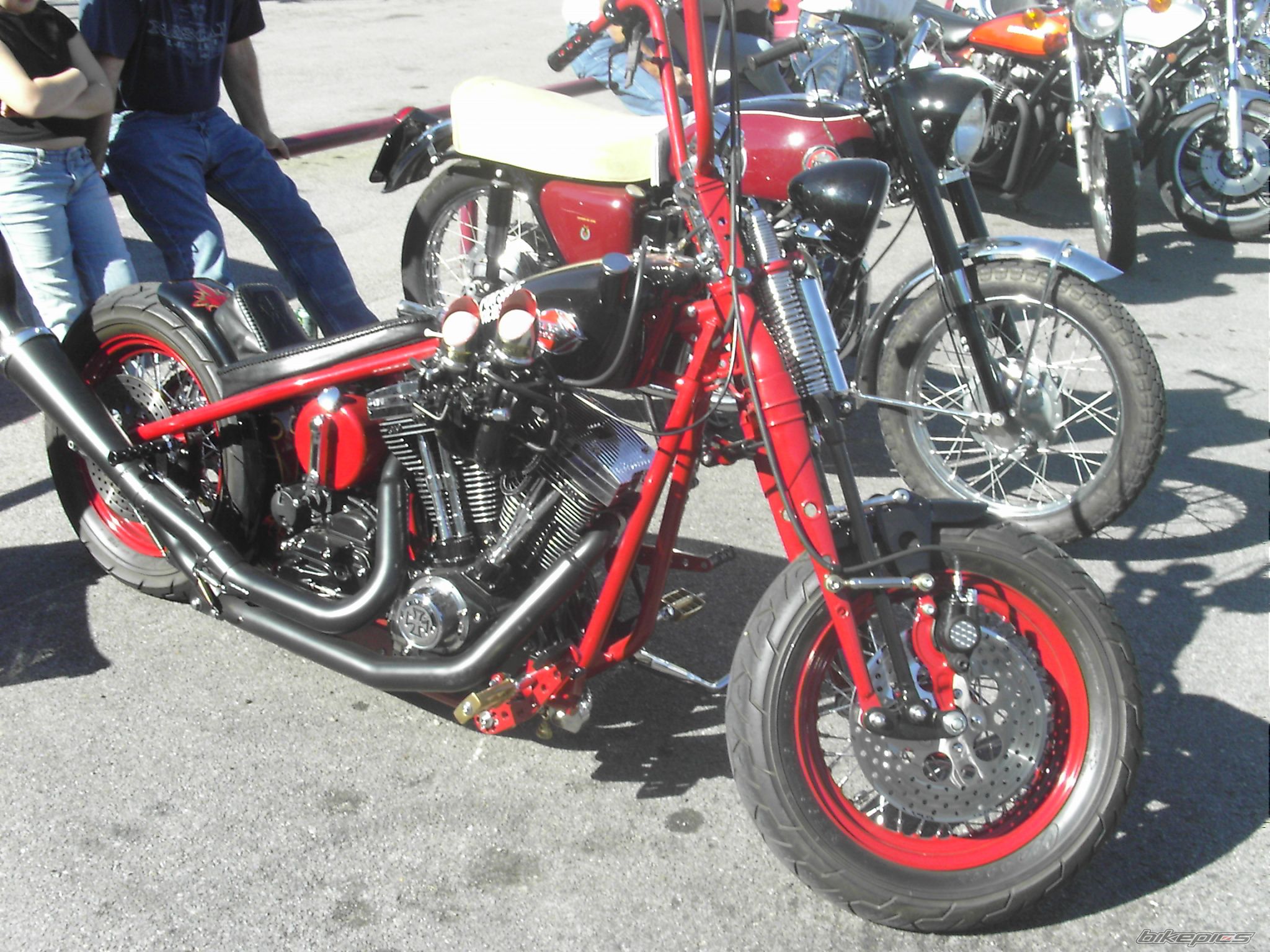 Photo 1256161