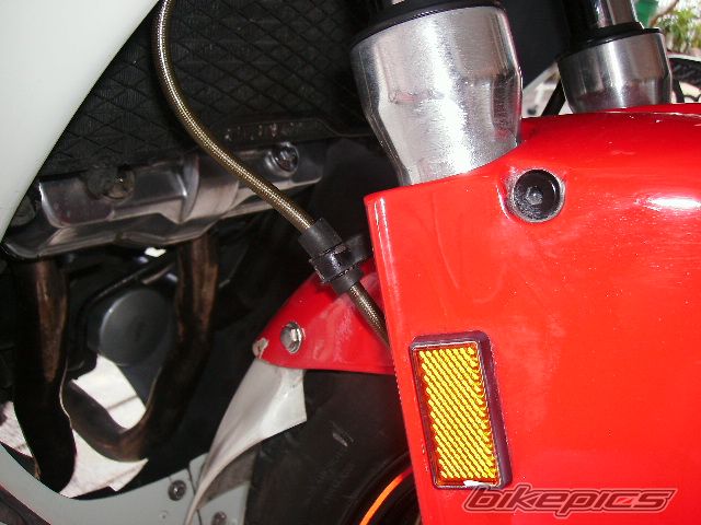 Photo 1256164