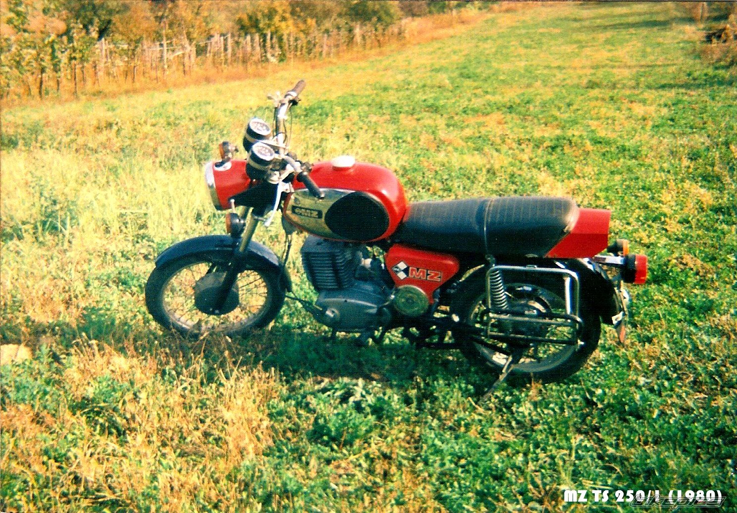 Photo 1256181