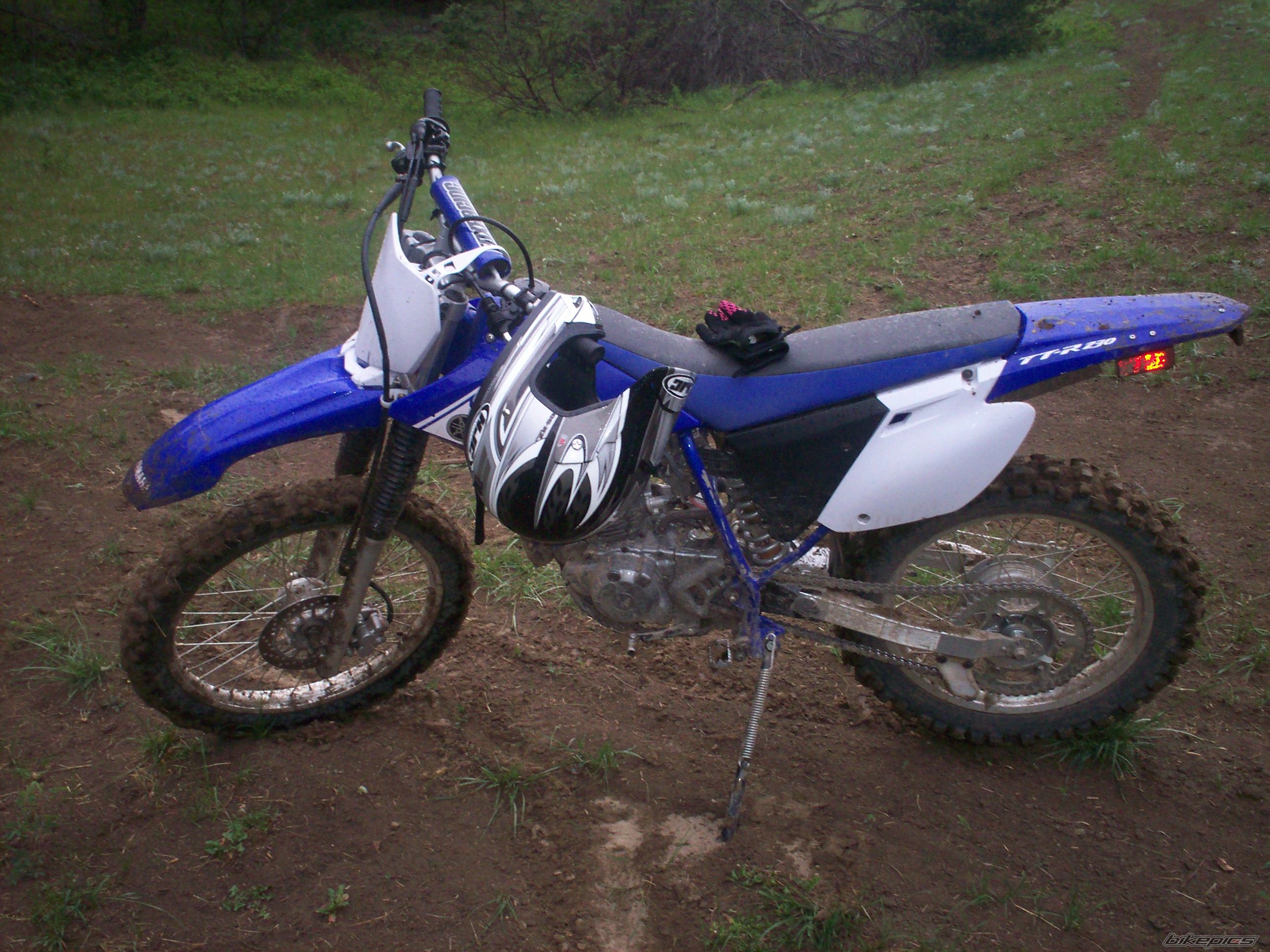 Photo 1256260