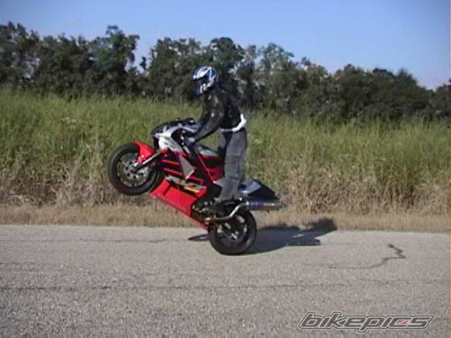 Photo 12563
