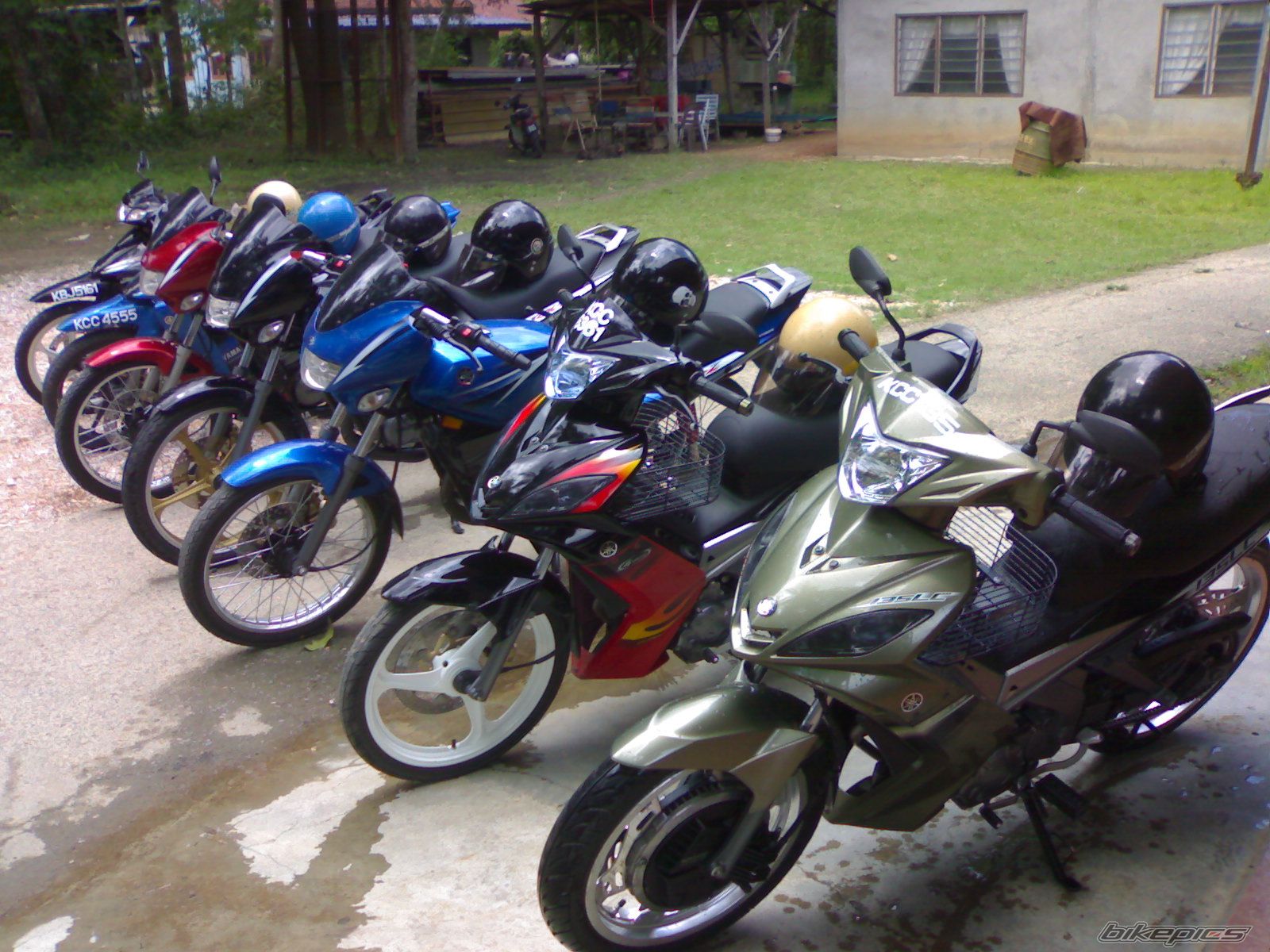 Photo 1256301