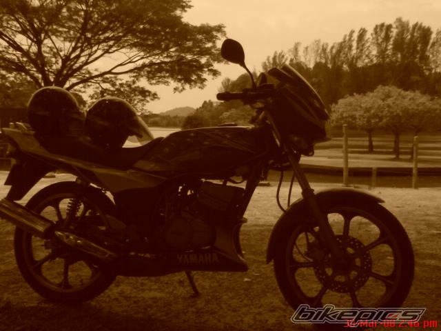 Photo 1256304