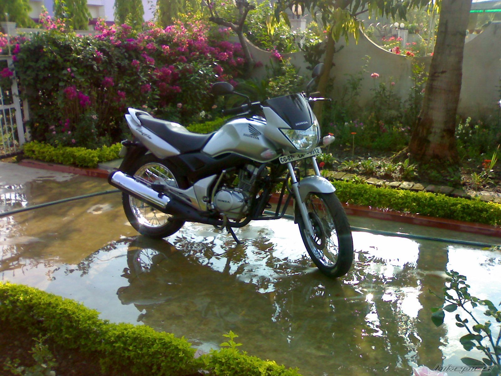 Bike Photo 1256309