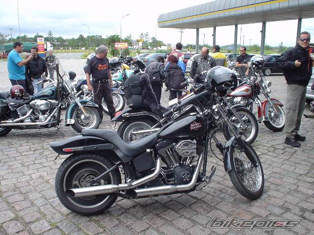 Photo 125631