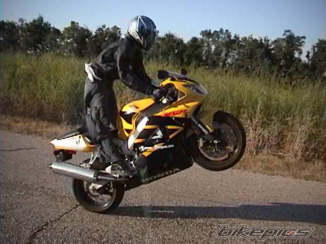 Photo 12564
