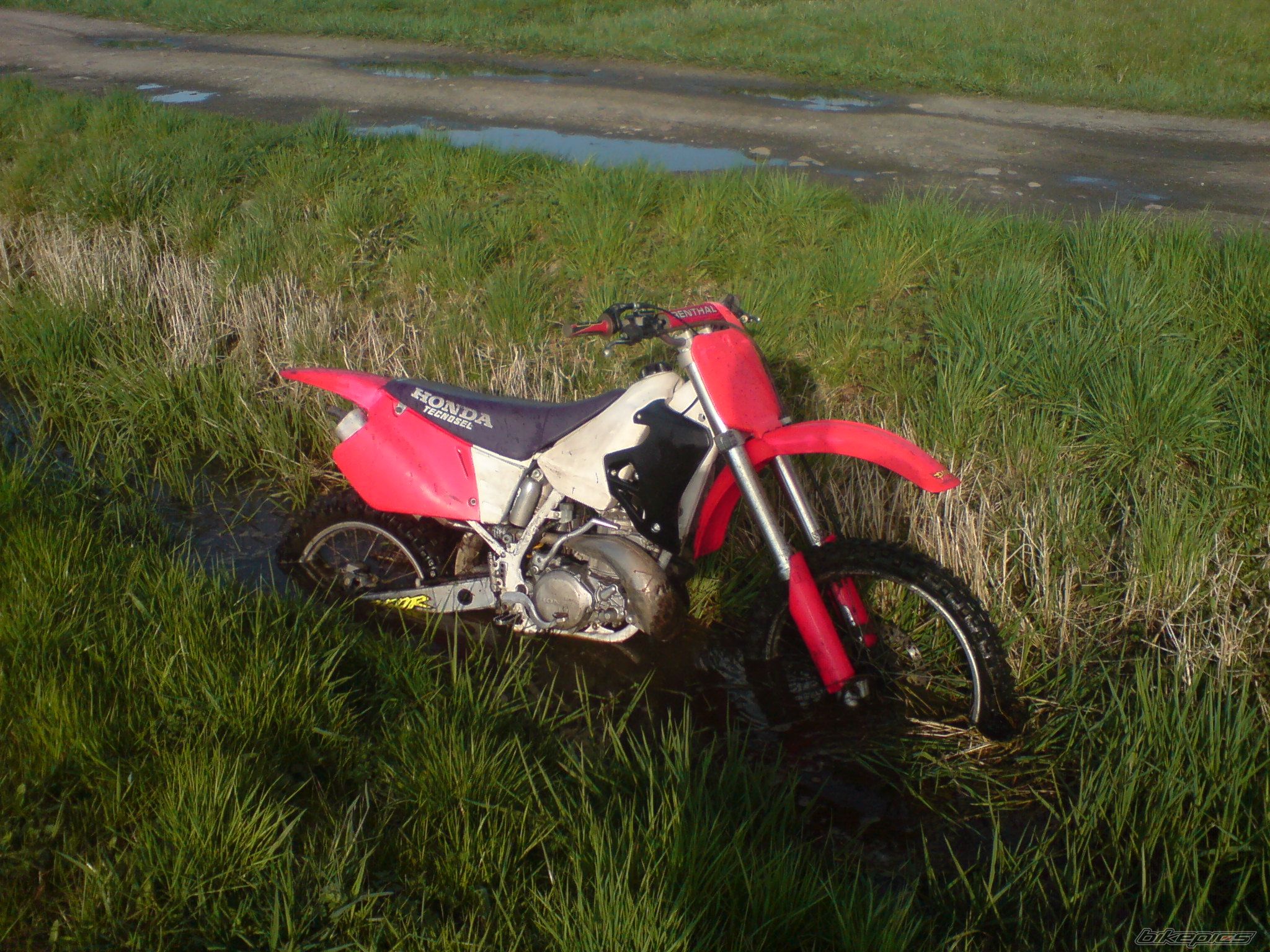 Photo 1256434