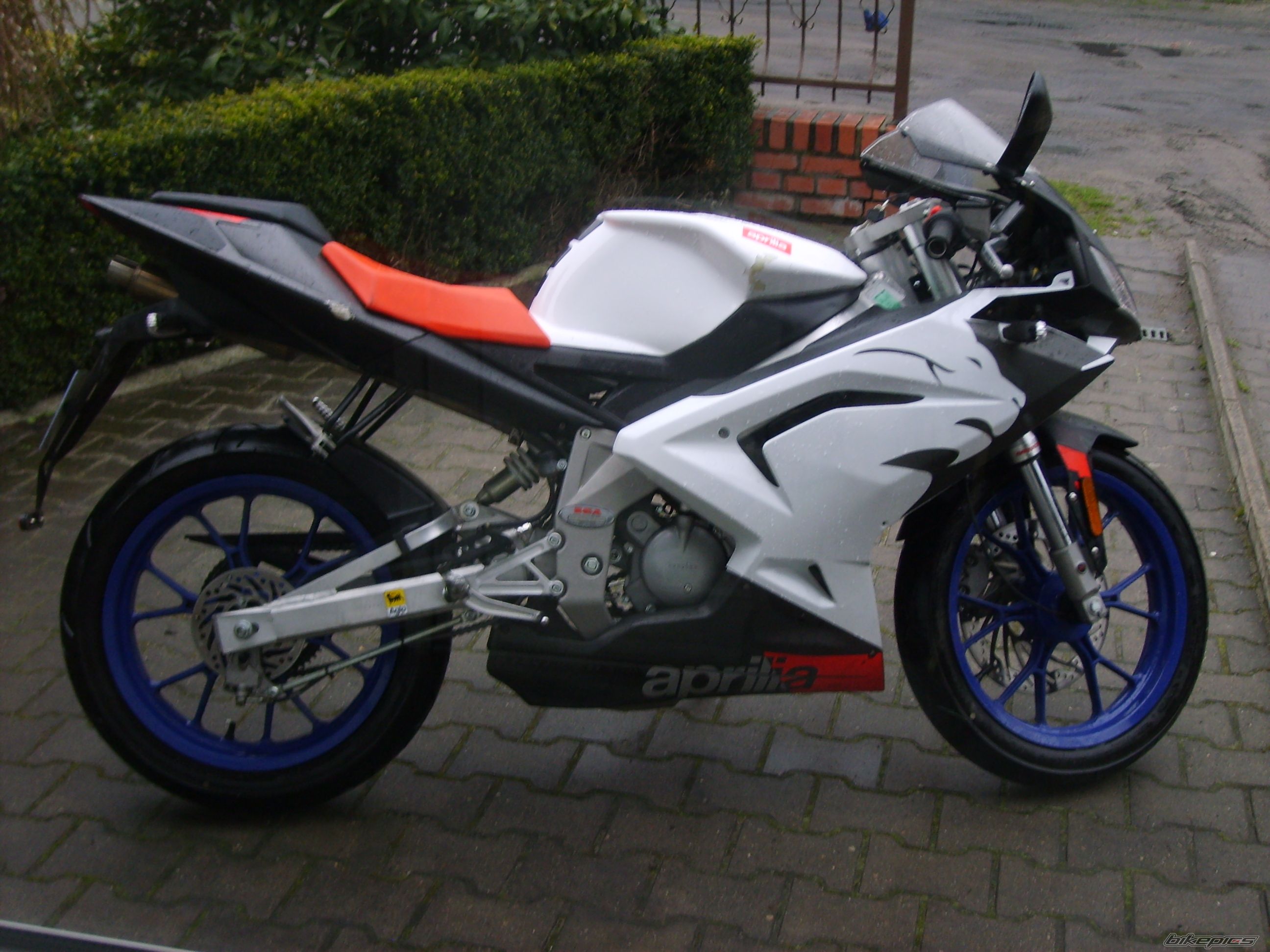 Photo 1256467