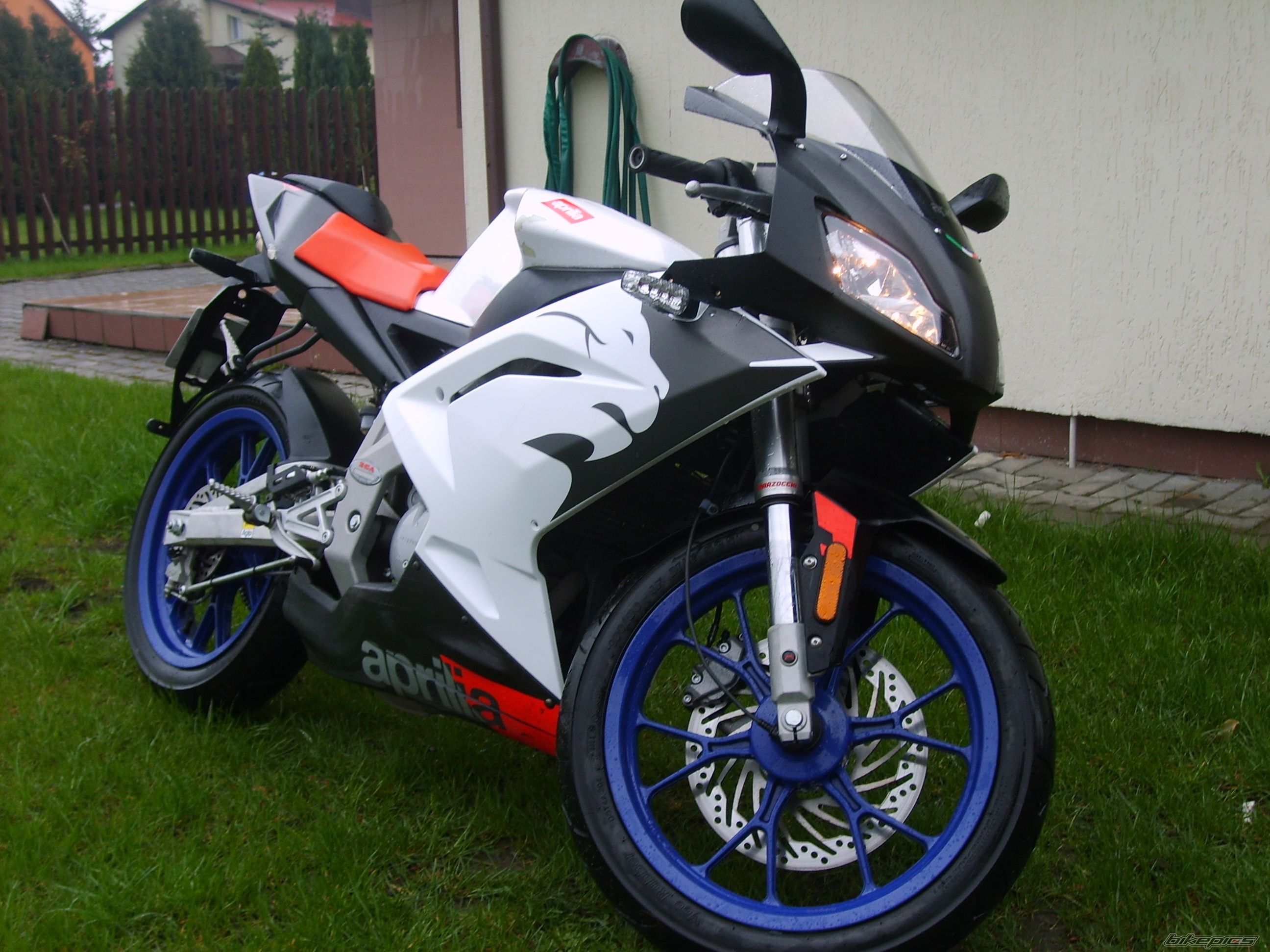 Photo 1256481