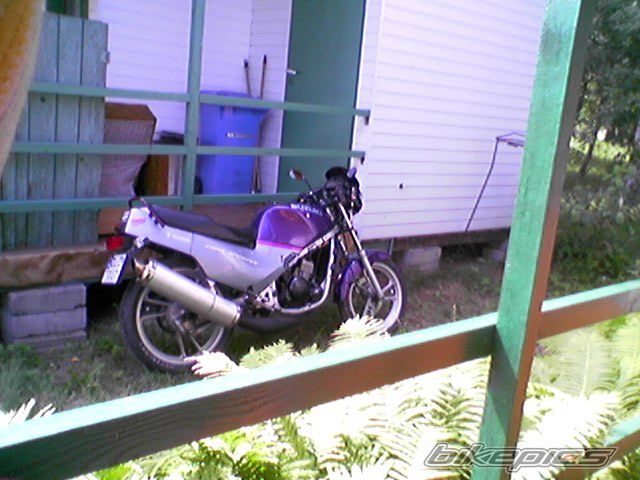 Photo 1256508