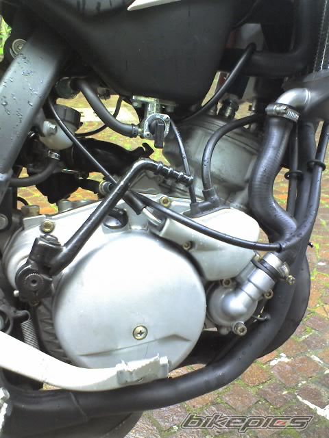Photo 1256529
