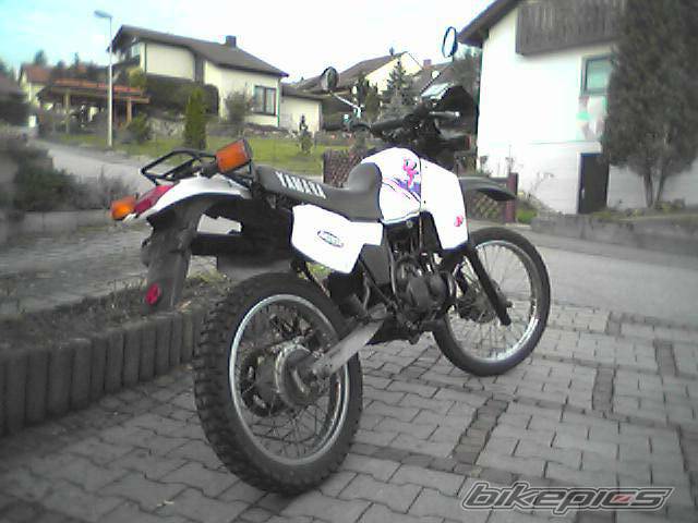 Photo 125654