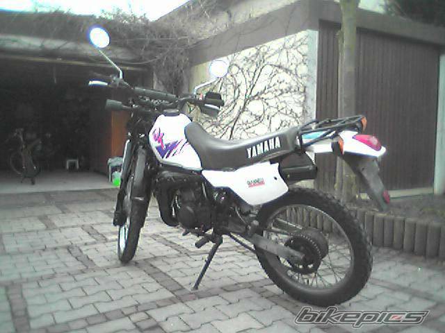 Photo 125656