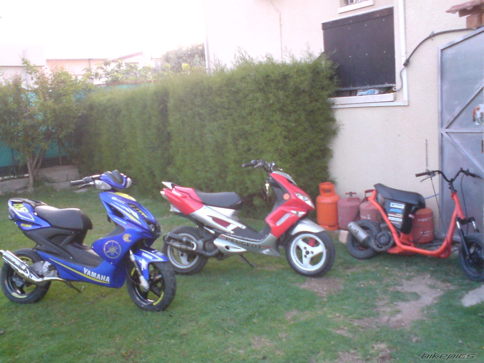 Photo 1256594