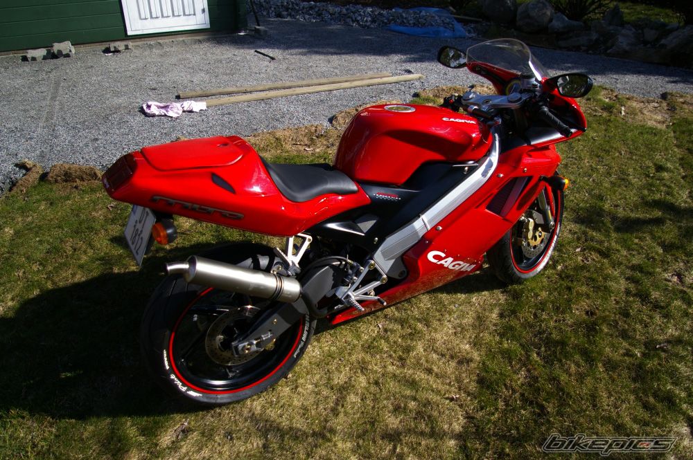 Photo 1256640