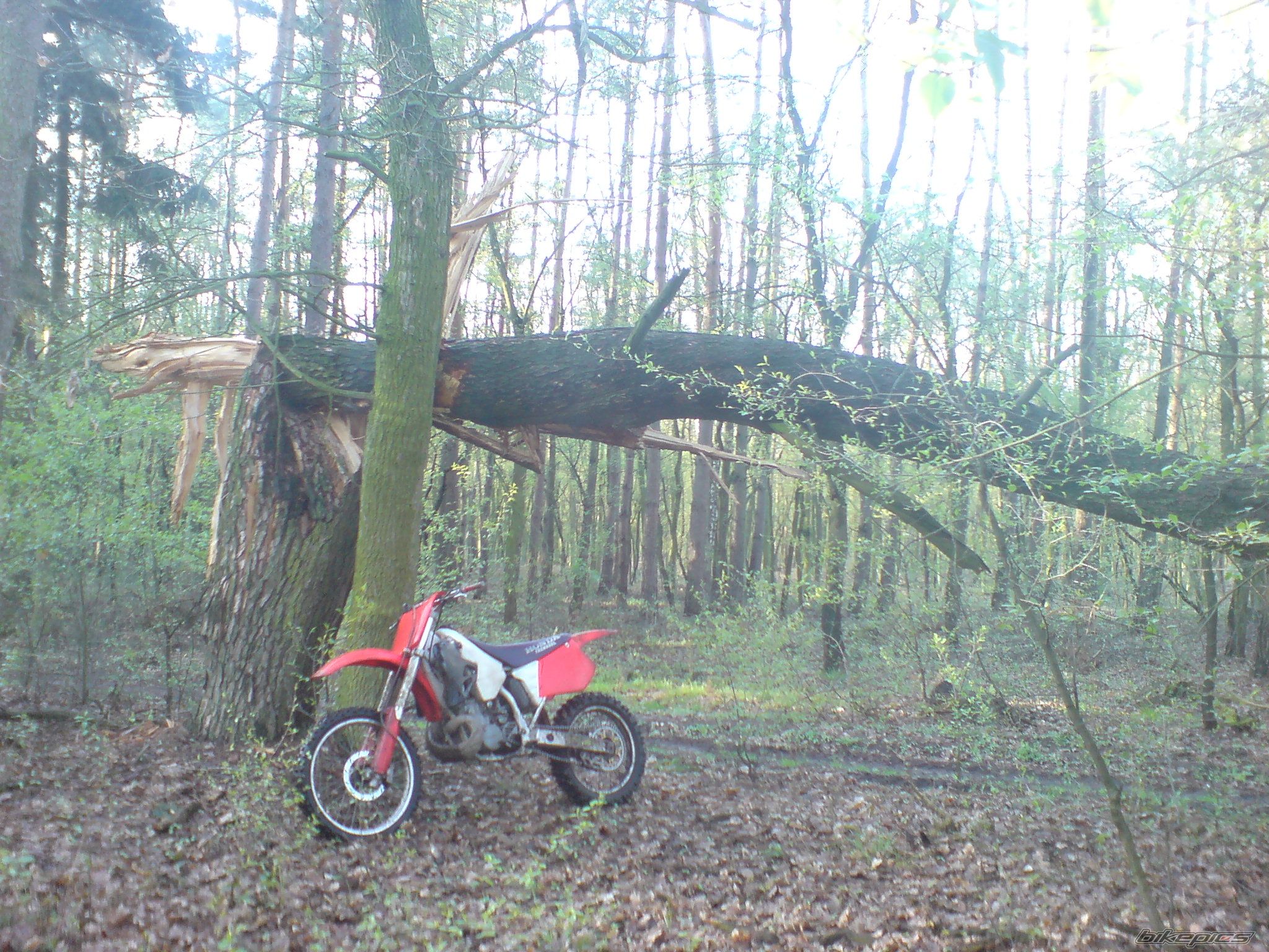 Photo 1256660