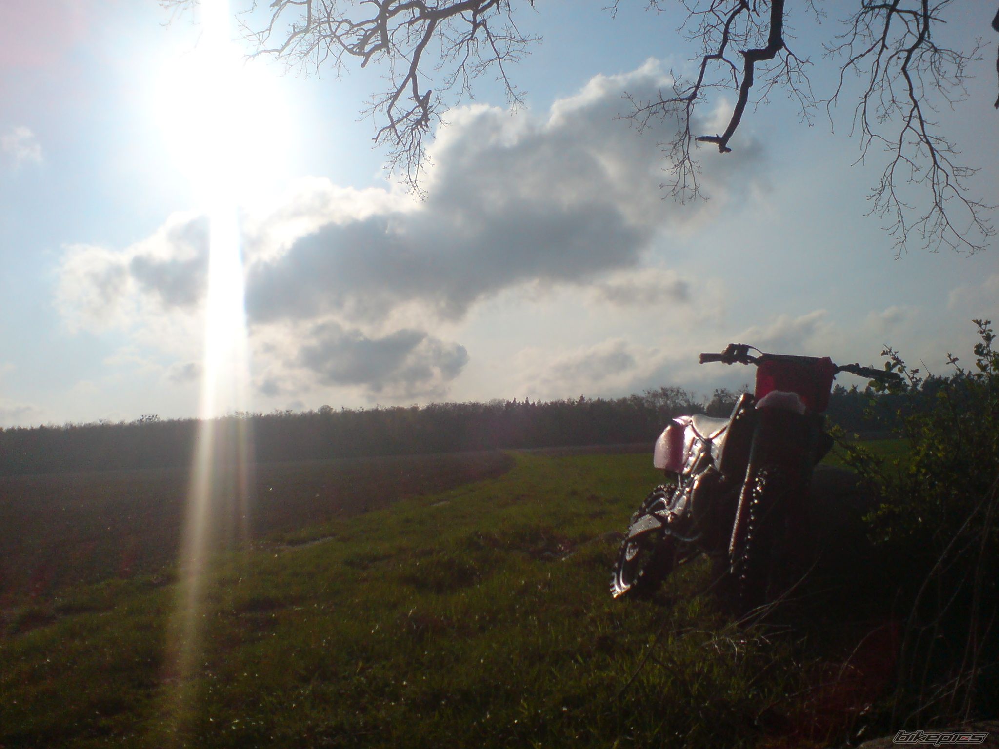 Bike Photo 1256665