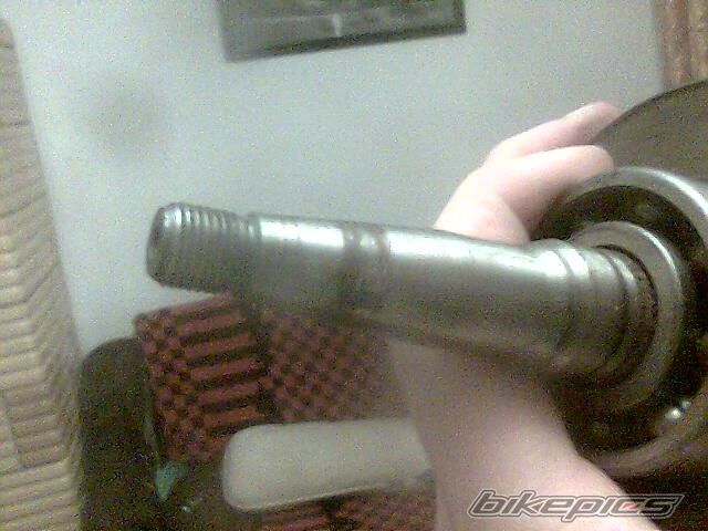 Photo 1256828