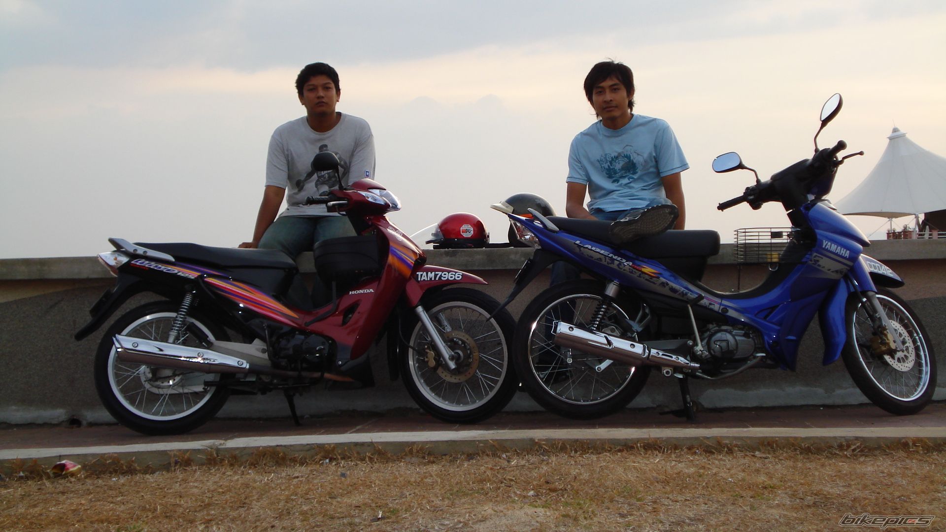 Photo 1256978