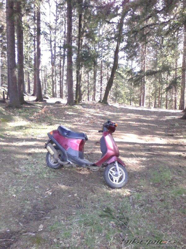 Bike Photo 1257005