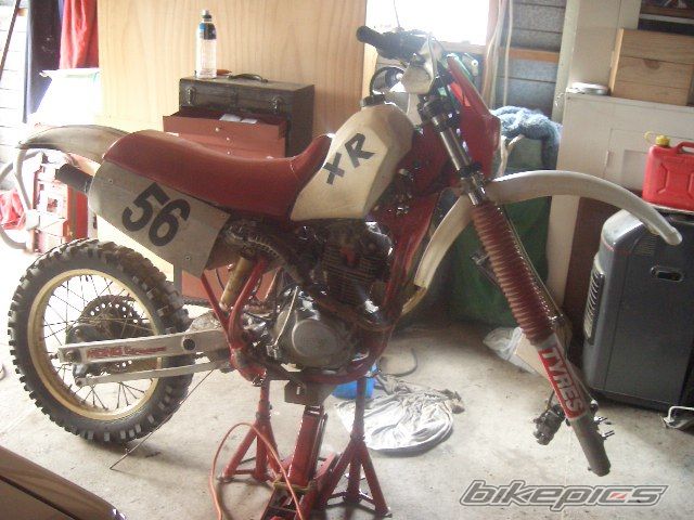 Photo 1257068