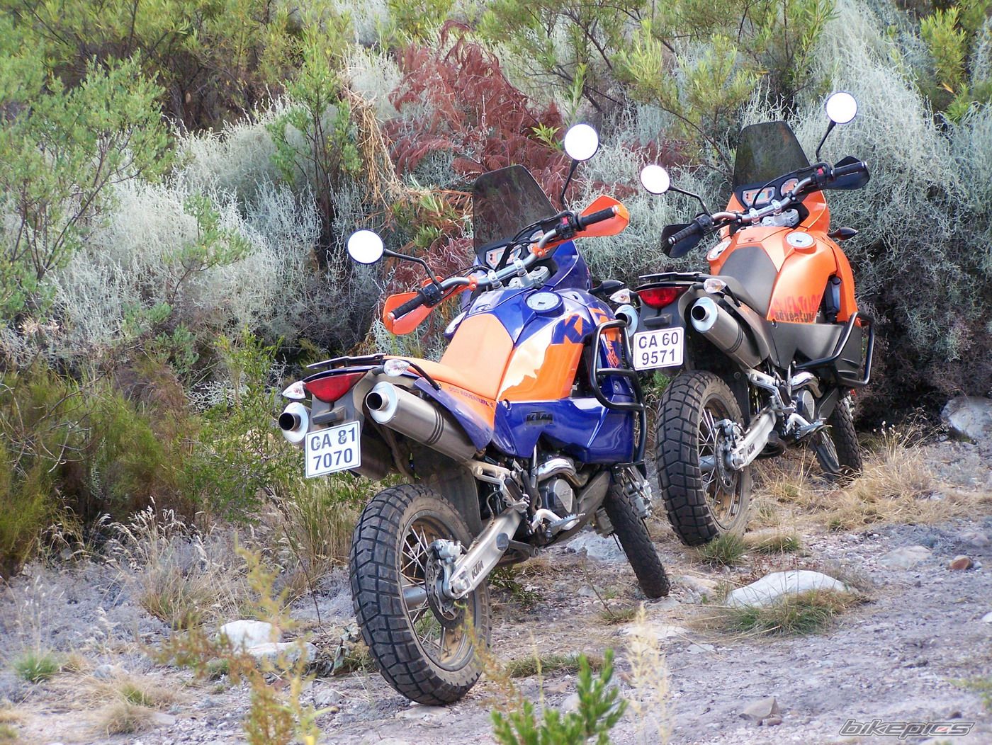 Bike Photo 1257116