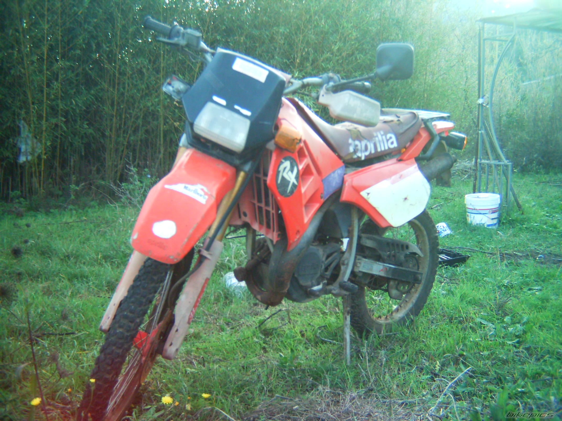 Bike Photo 1257213