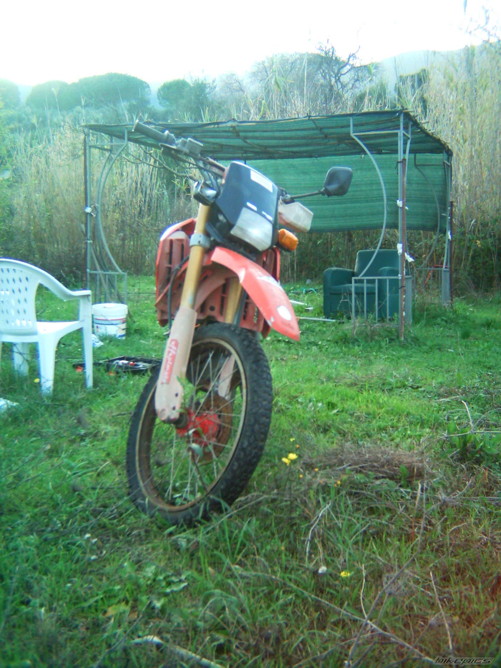 Photo 1257223