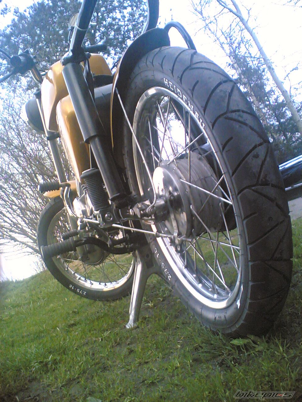 Photo 1257228