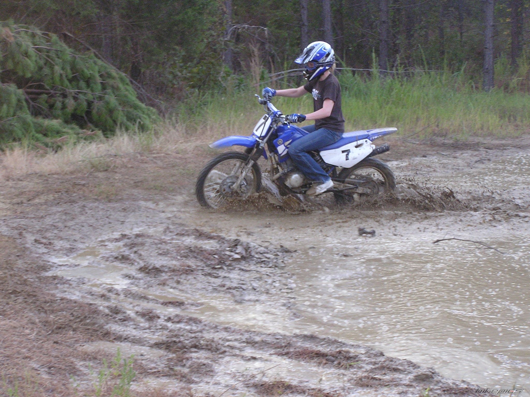 Photo 1257263