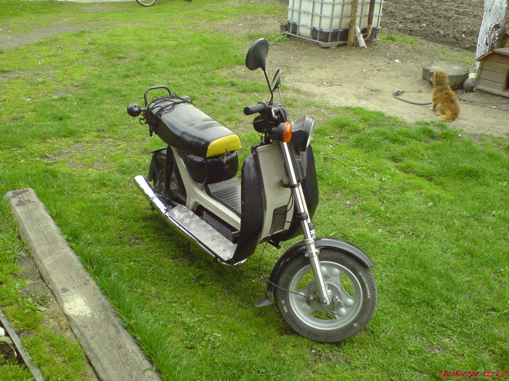 Photo 1257370