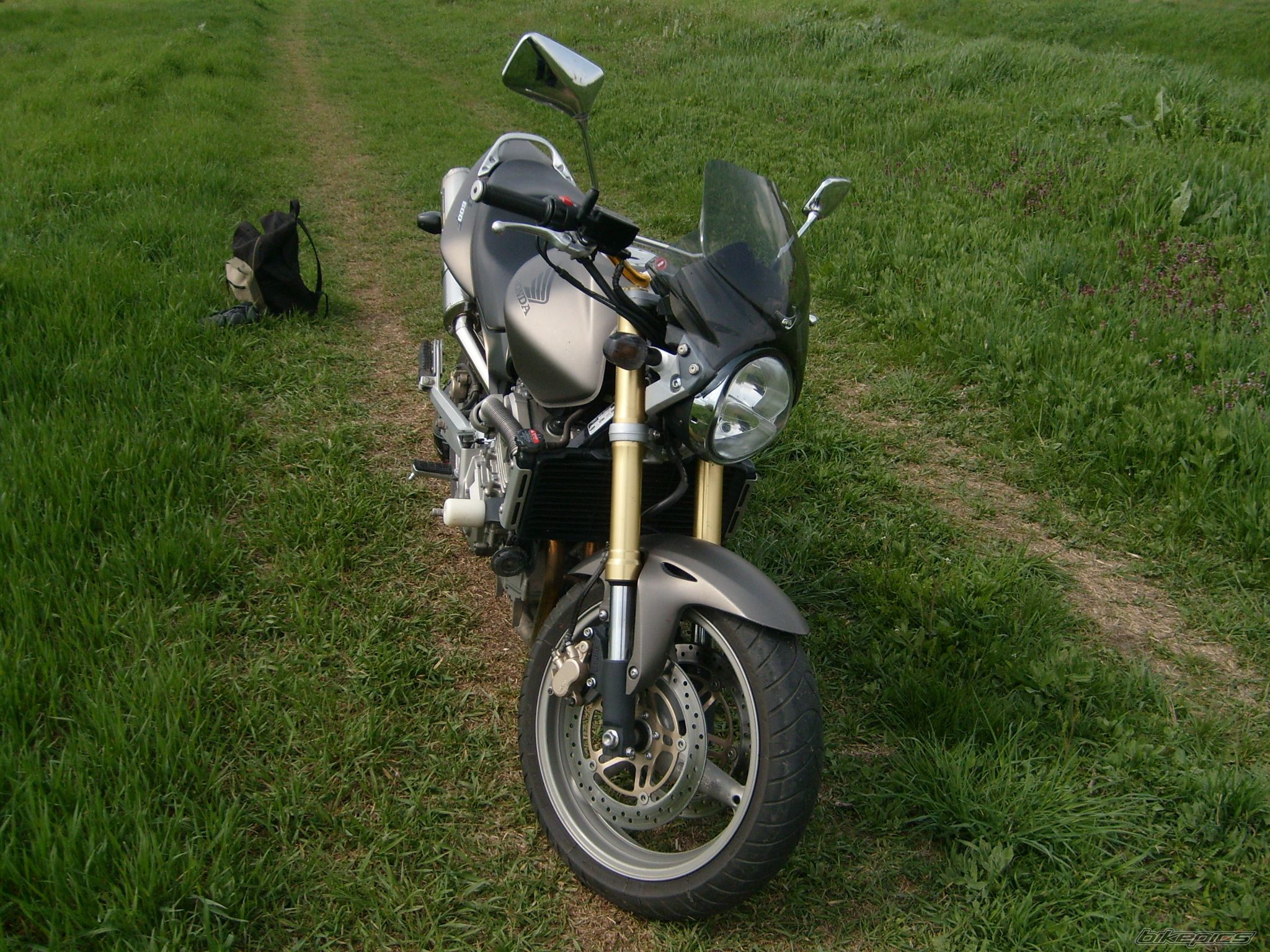 Photo 1257419