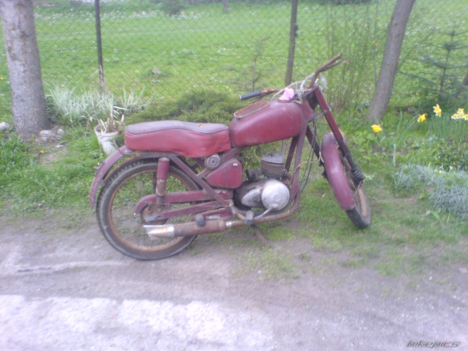 Photo 1257497