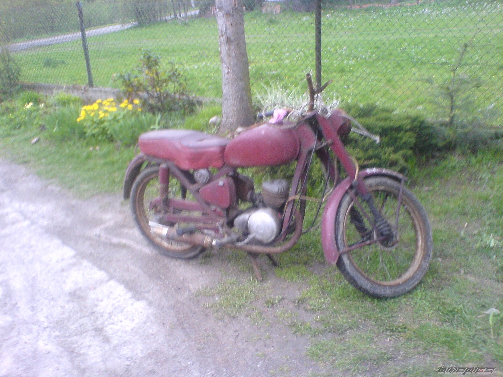 Photo 1257499