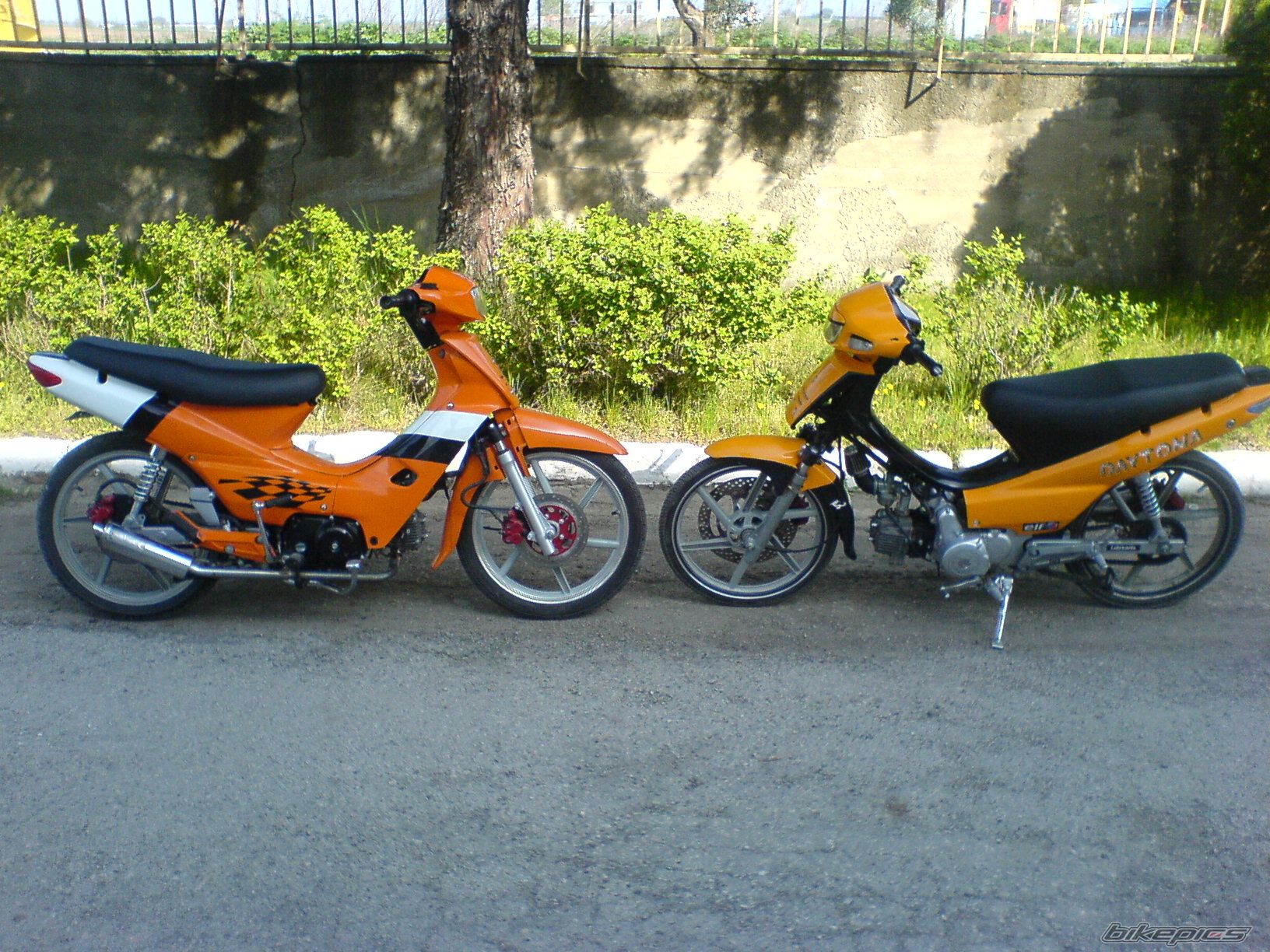 Photo 1257501