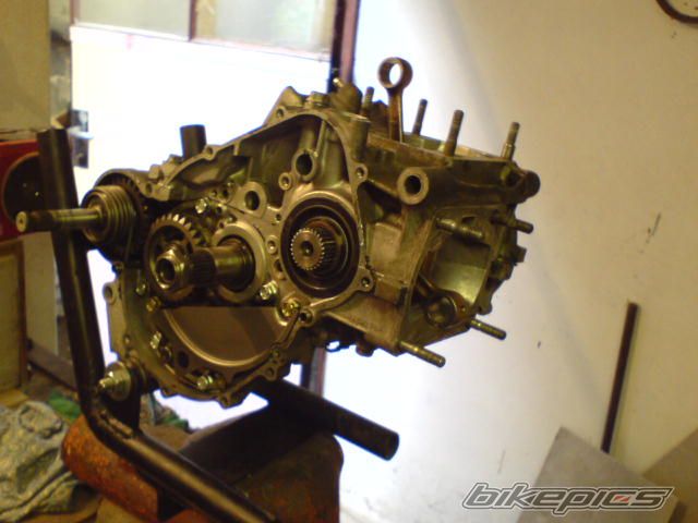 Photo 1257565