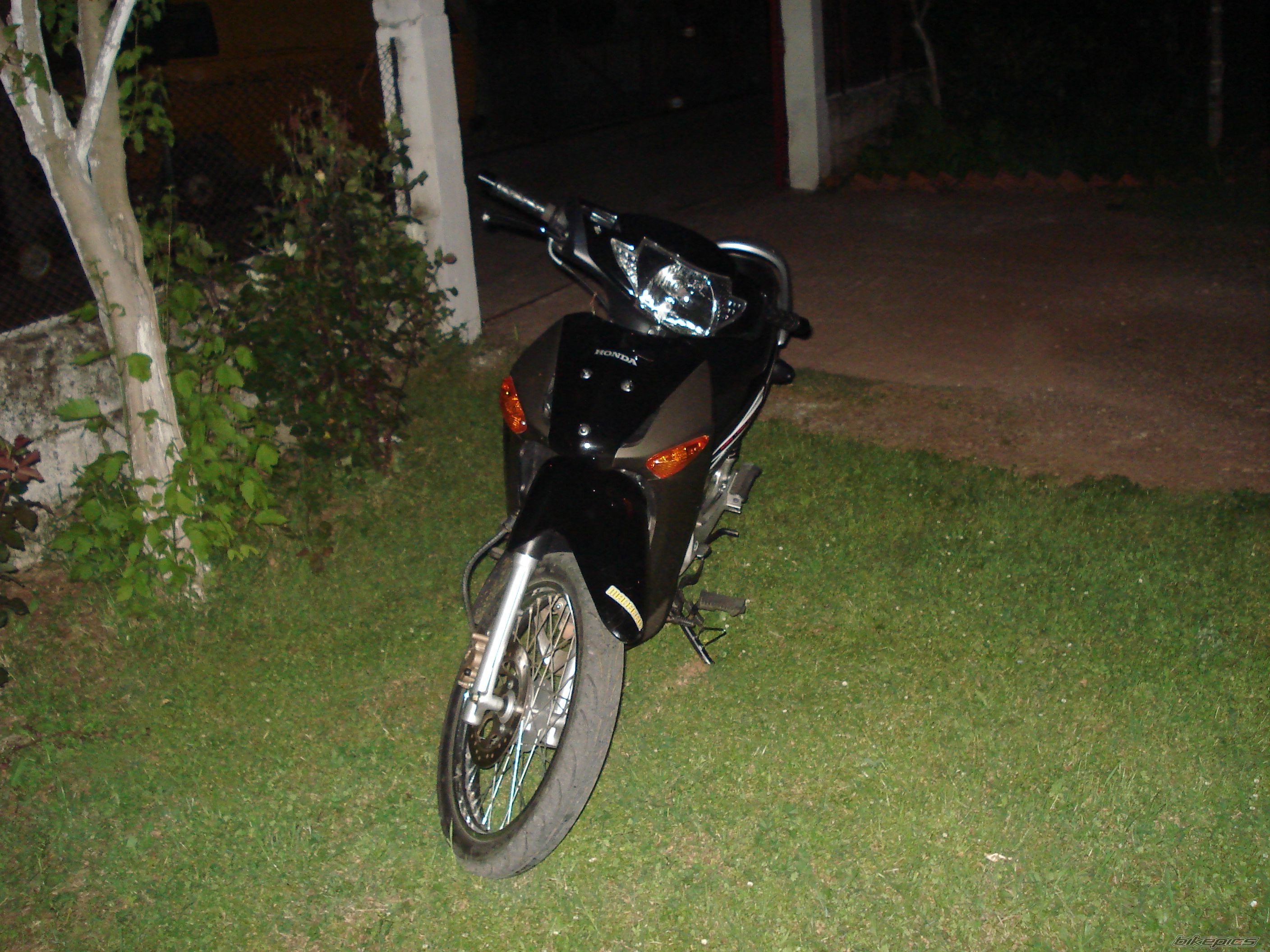 Photo 1257584